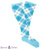 Thistle_Aqua_IMG_0952w