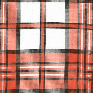 Scott Dress - Tangerine (Variation) Tartan (Canadian T) - Hose