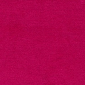 Bonnie Rose Velvet