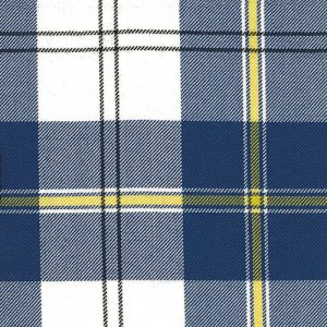 Cuningham Dress Navy Tartantown
