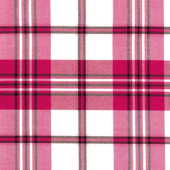 Scott_raspberry