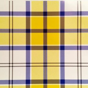 Culloden Dress - Yellow Tartan (Canadian) - Child Hose